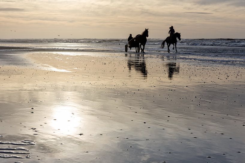 Horses on the beach with a sunset by eric van der eijk