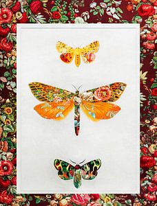Schmetterlinge Vintage von Jacky
