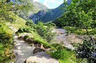 Schotland, de dalen en bergen bij Ben Nevis van Marian Klerx thumbnail