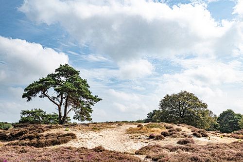 Drenthe von seiner schönsten Seite