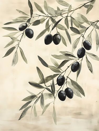 Branche d'olivier