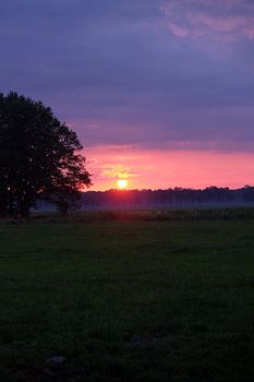 Sonnenuntergang vertikal