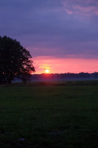 Sonnenuntergang vertikal