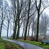 fog in Etten-Leur 2025 by Egon Zitter