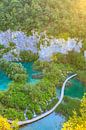 Aerial view on Plitvice lakes and waterfalls, Croatia by Sander Meertins thumbnail