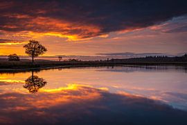 Duurswouderheide sur Erik Bilstra