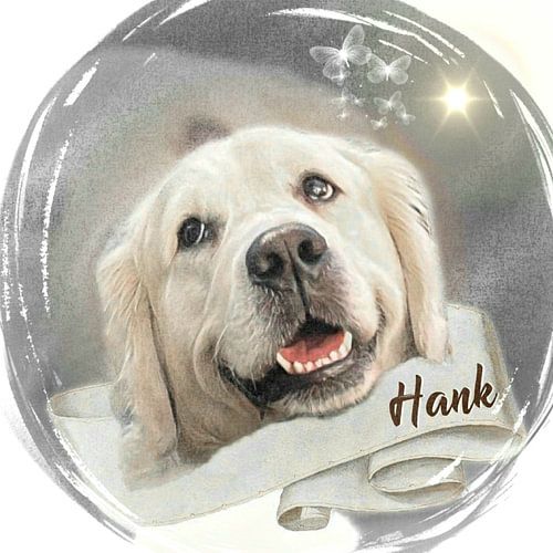 Portrait sur Beate Braß