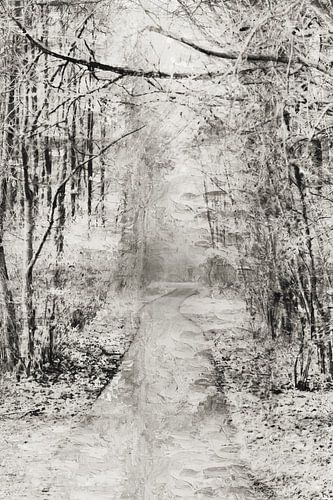 Walking path between Roosendaal and Nispen (Brabant)