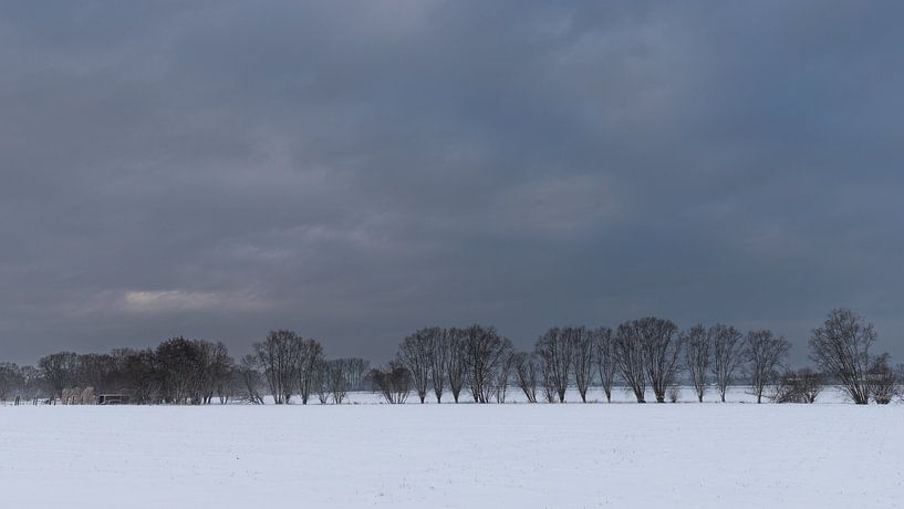 a minimalistic winter landscape van Koen Ceusters