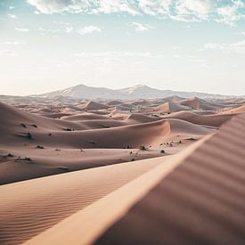 Zachte zandduinen in de woestijn bij zonsopkomst – minimalistisch Sahara landschap van Funky Lemons