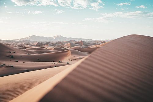 Zachte zandduinen in de woestijn bij zonsopkomst – minimalistisch Sahara landschap
