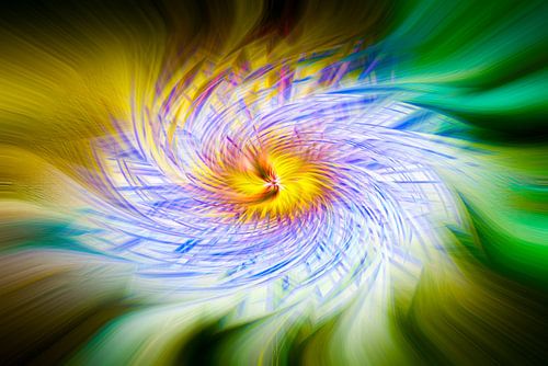 Passiflore abstraite