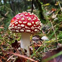 L'automne a commencé 2021