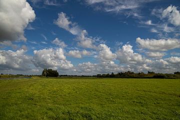 Wolkenlucht boven grasland van Ingrid van Sichem