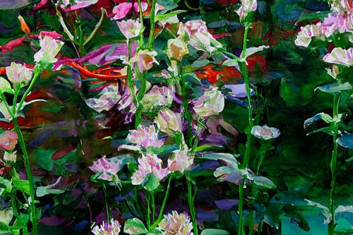 Astrantia major ou nœud de Zélande comme œuvre d'art impressionniste sur Patricia Hofmeester