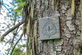 Pacific Crest Trail by Tashina van Zwam