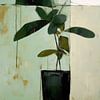 Plant in pot van Treechild