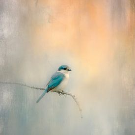 Minimalistisches Vogelporträt auf sanftem Pastellhintergrund von But First Framing