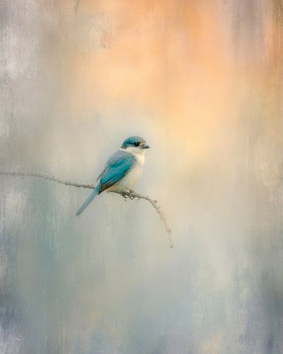 Portrait minimaliste d'oiseau sur fond pastel doux