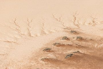 Detail van de Namib Desert, Sossusvlei