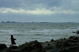 Studie: De Kaloot, Borssele - Zeeland van Patrice Domenique Troost