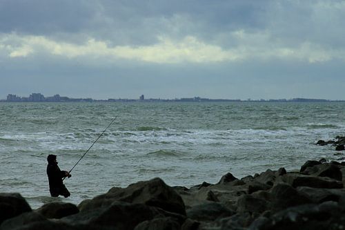 Studie: De Kaloot, Borssele - Zeeland