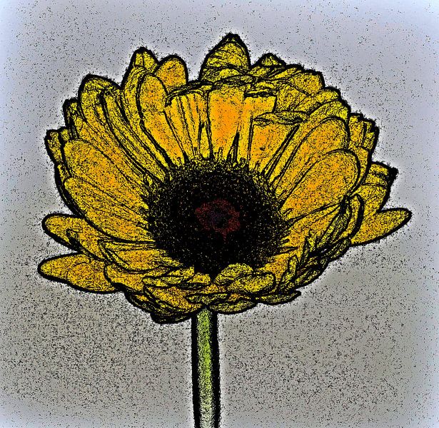 Sunflower ( print ) by Jose Lok