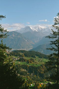 Berg panorama uitzicht Mönch, Eiger, Jungfrau van Jisca Lucia