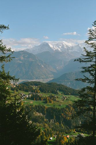 Berg panorama uitzicht Mönch, Eiger, Jungfrau