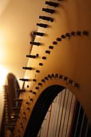 Curves of a harp