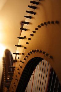 Curves of a harp