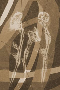 Bloemen en lijnen.  Moderne abstracte botanische geometrische kunst in beige en bruin van Dina Dankers