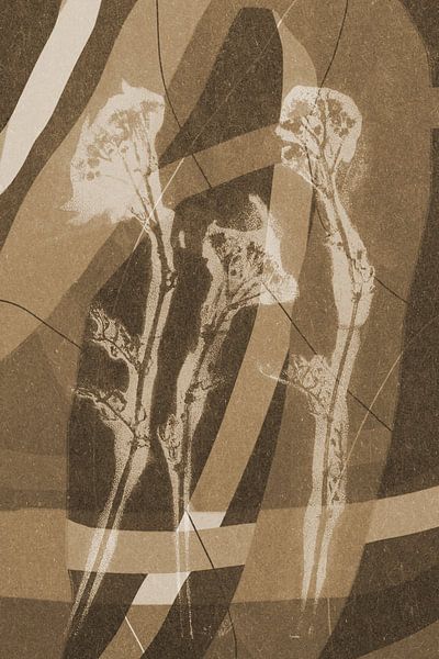 Flowers and lines.  Modern abstract botanical geometric art in beige and brown by Dina Dankers