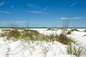 Duinen, strand, zee en een blauwe lucht sur Color Square