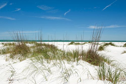Duinen, strand, zee en een blauwe lucht