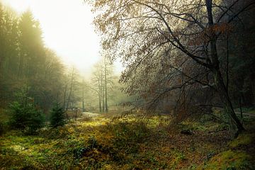 Sprookjes landschap van Gabsor Fotografie