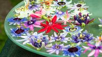 bowl with floating passion flowers by Tom Elst thumbnail
