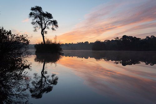 Sunrise in the Oisterwijkse Vennen