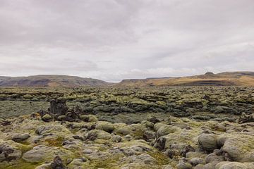 Champs de lave Eldhraun (Islande) sur Marcel Kerdijk