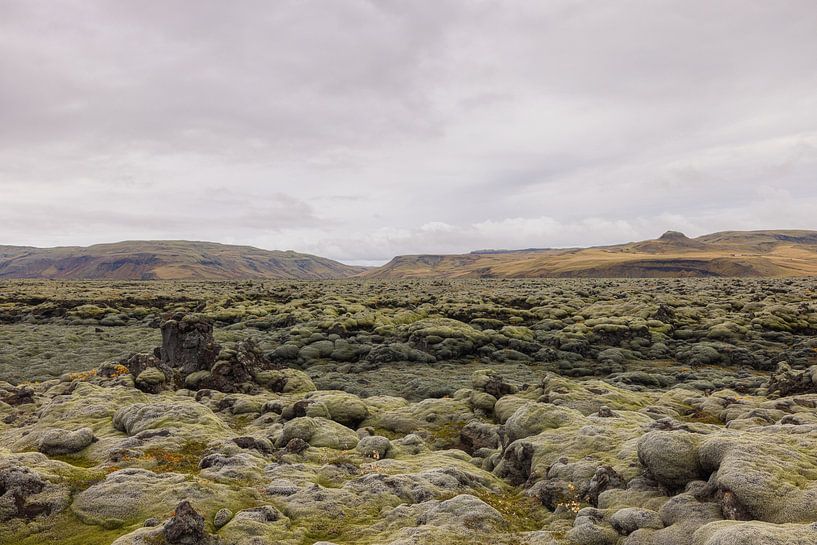 Lava fields Eldhraun (Iceland) by Marcel Kerdijk