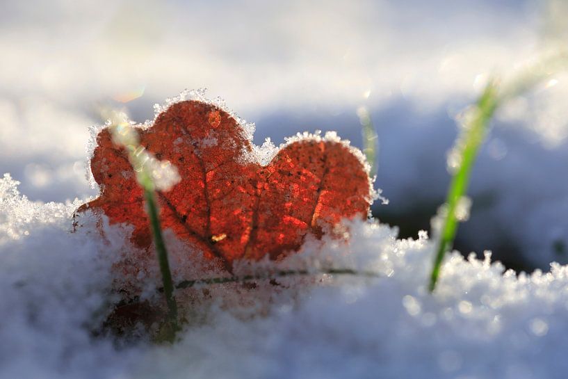 Winterzeit von Thomas Jäger