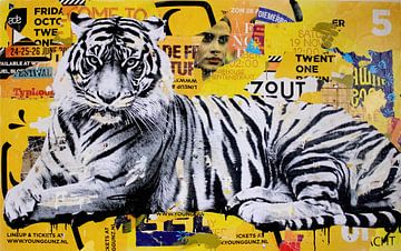 Tigerstyle by Michiel Folkers