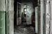 Olivfarbener Korridor eines verlassenen psychiatrischen Krankenhauses von Steven Dijkshoorn