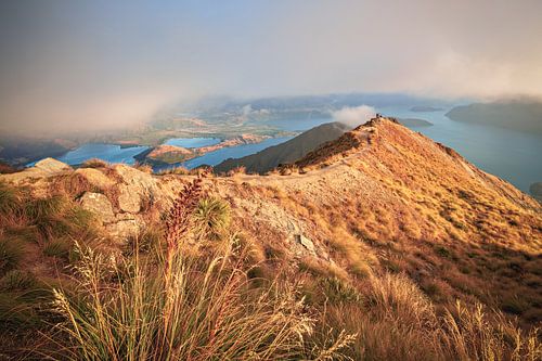 Nieuw-Zeeland Roy's Peak zonsopgang