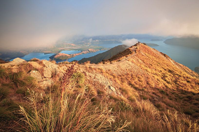 Nieuw-Zeeland Roy's Peak zonsopgang van Jean Claude Castor