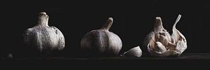 Knoblauch Panorama