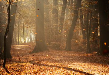 Herfst in de vroege ochtend van Kurt Krause