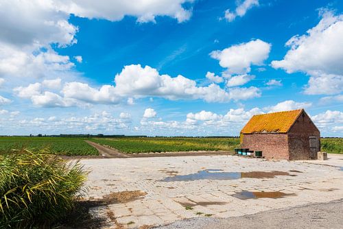 Schuur aan weiland onder Hollandse wolkenlucht