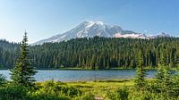 Stratovolcano Mount Rainier. by Jaap van den Berg thumbnail