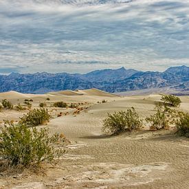 Die wunderschöne Wüste des Death Valley in Kalifornien von Patricia Hofmeester
